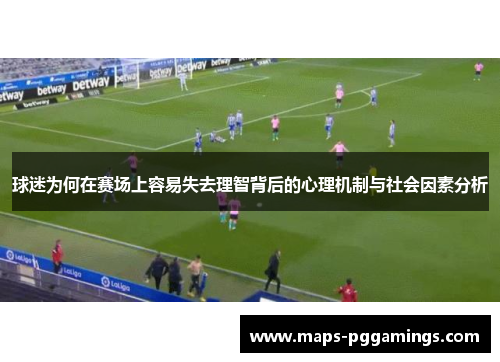球迷为何在赛场上容易失去理智背后的心理机制与社会因素分析