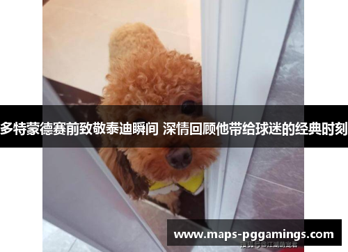 多特蒙德赛前致敬泰迪瞬间 深情回顾他带给球迷的经典时刻