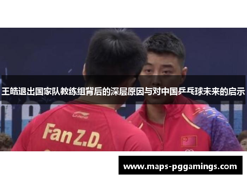 王皓退出国家队教练组背后的深层原因与对中国乒乓球未来的启示