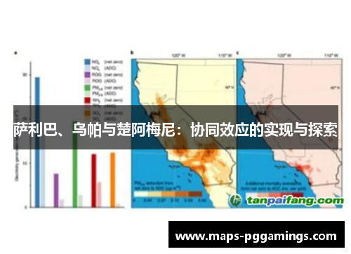 萨利巴、乌帕与楚阿梅尼：协同效应的实现与探索